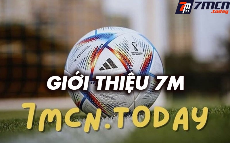 Giới thiệu sportstopia.io